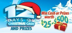 web-header-promotion-12-days-of-christmas-cash-2017-300x140-7315878 - spa and salon