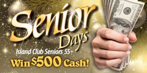 web-header-promotion-senior-days-december-2017-300x150-9226488 - spa and salon